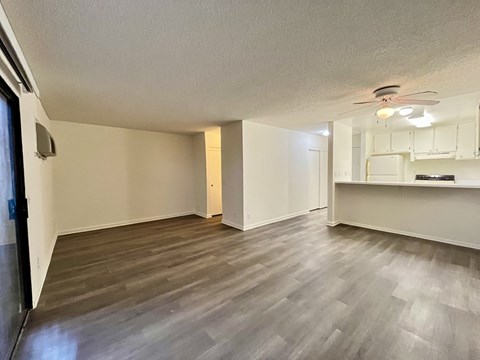 Floor plan for studio, 1 bath, 488 sqft